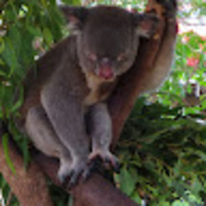 Meet your Posher, Terri